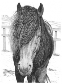 fireandice_finallarge