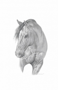 land-dancer-nona-foster