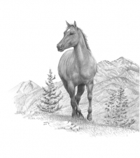 rim-rock