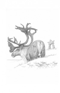 Caribou