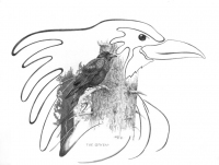 The Raven