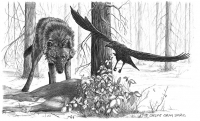 The Great Gray Spirit