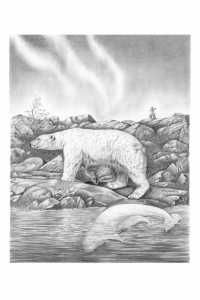 Wapusk White Bear