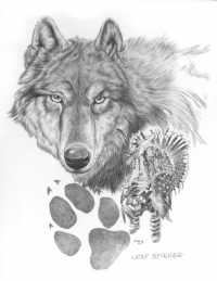 Wolf Stalker